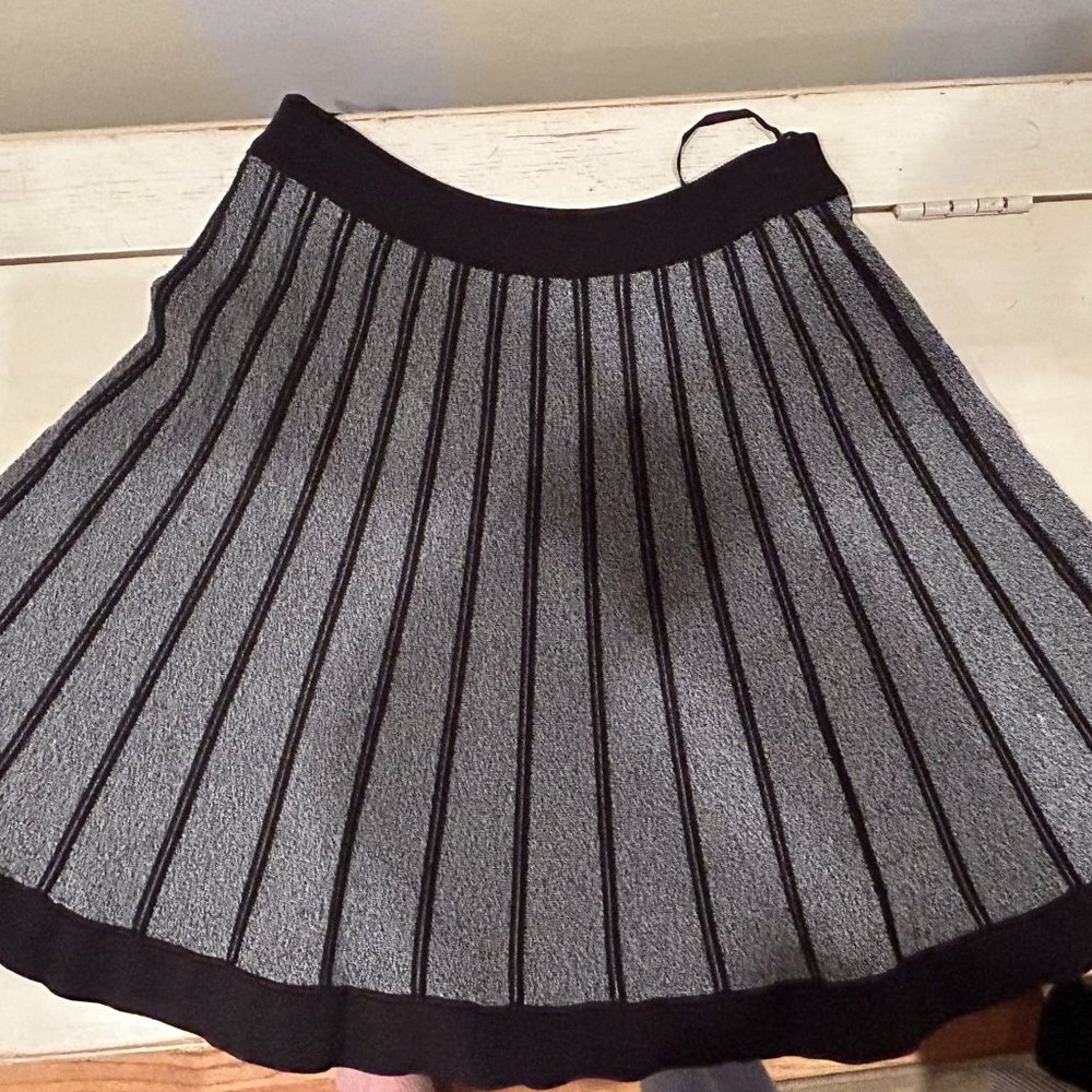 ALC Blue and White Skirt